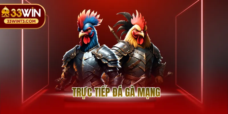 Trực Tiếp Đá Gà Mạng - Sức Nóng Từ Đấu Trường Đẳng Cấp 1 avt